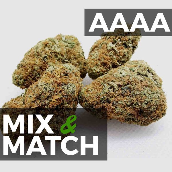 Mix and Match AA sale