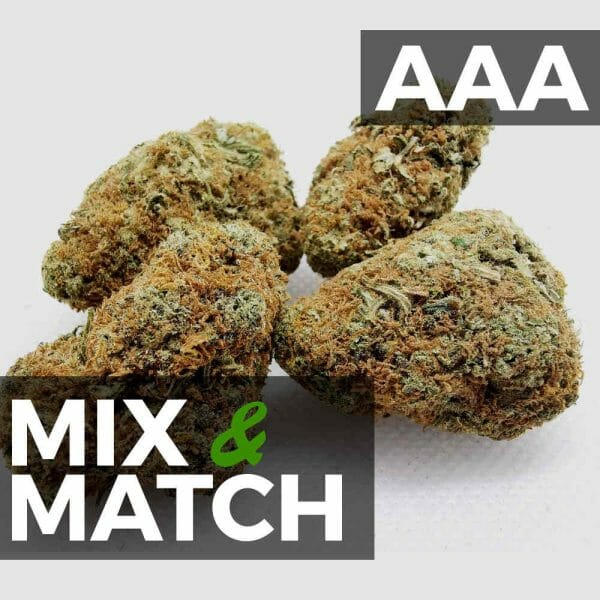 1 Ounce Mix and Match AA
