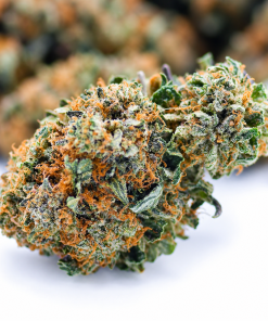 Comatose – AAAA+/Craft- ($9.64/ per gram)