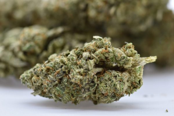 Cannabis Den — Blueberry