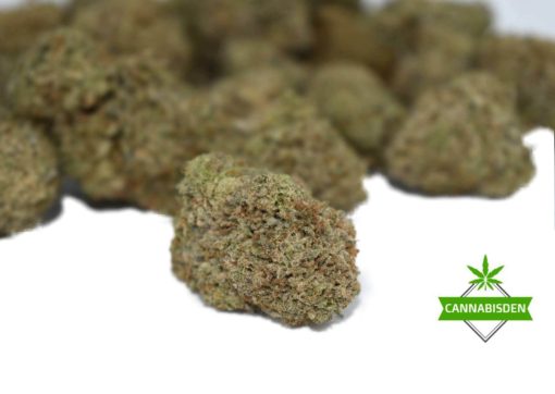 lemon haze cannabis strain