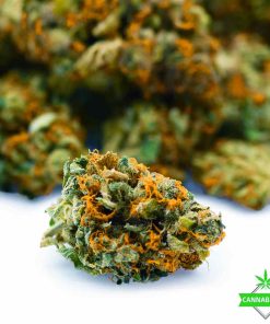 Super OG Master Kush