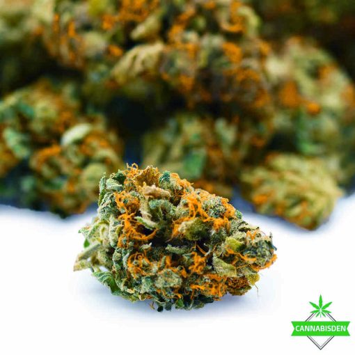 Super OG Master Kush