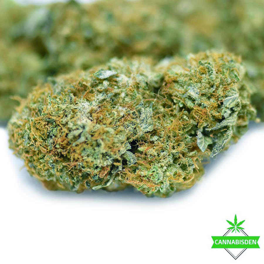 Holy grail kush