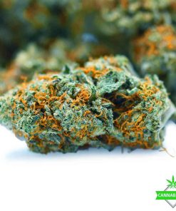 Death Bubba Strain