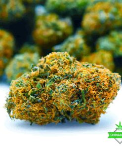 blue dream weed flower