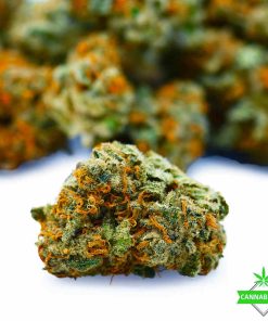 Cotton Candy Kush