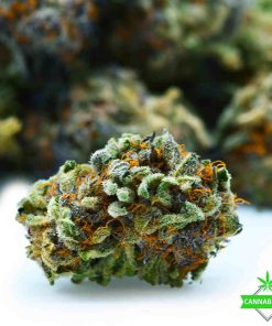 weed cookies and cream
