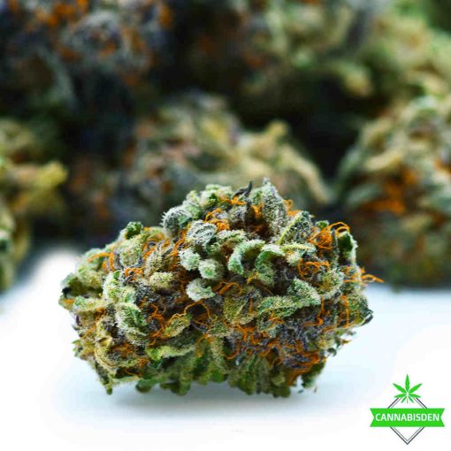 weed cookies and cream