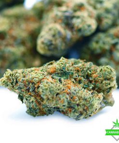 Blueberry Yum Yum