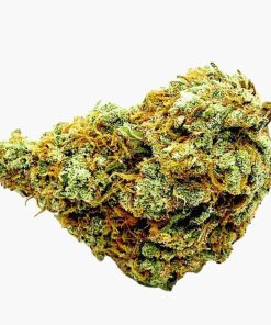citrus skunk weed