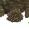 pink island kush aaa strain