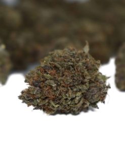 pink island kush aaa strain