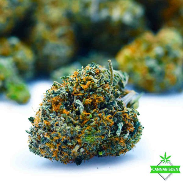 original glue craft weed