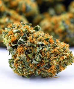 Shark Shock- AAAA+/Craft- ($9.64/ per gram)
