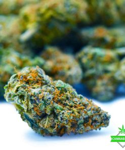 Bubba - Kush - AAAA