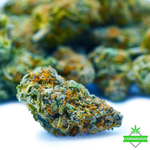 Bubba - Kush - AAAA