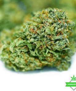 Love Potion OG Strain strawberry cough