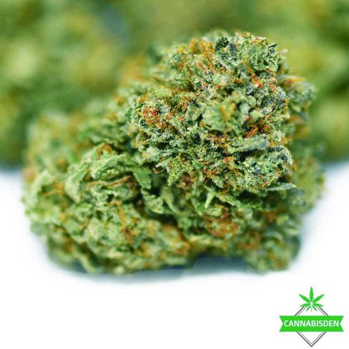 Love Potion OG Strain strawberry cough