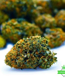 Trainwreck - AAAA - Craft