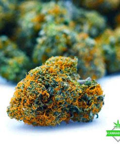 bad betty weed