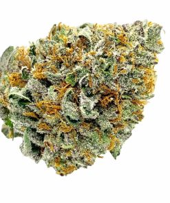 purple alien og weed