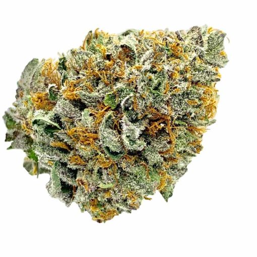 purple alien og weed