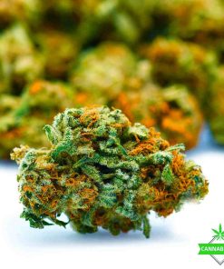 grapefruit weed