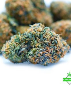tangerine dream weed flower