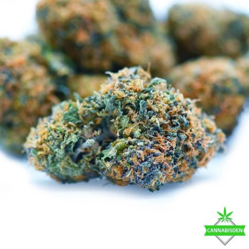 tangerine dream weed flower