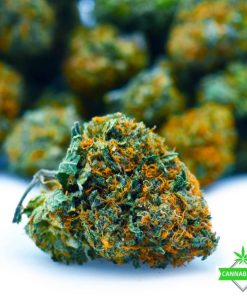 Death Bubba- AAAA