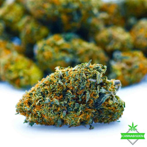 tangerine dream
