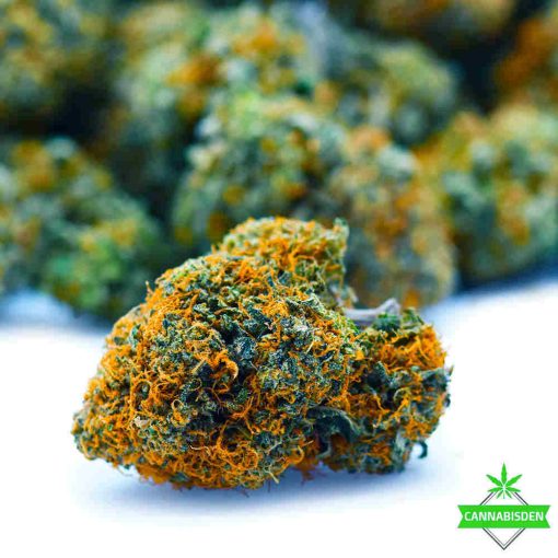 bad betty aaaa craft weed strain