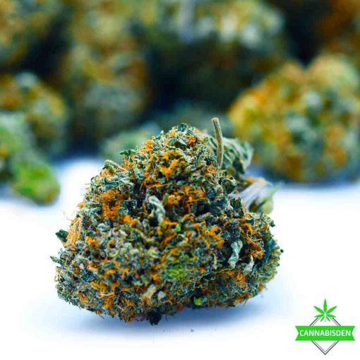 original glue craft weed