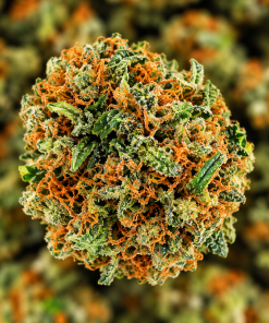 Bubba-AA-($5.91/per gram)-BULK - Image 2