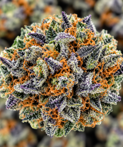 God's Green Crack-AAA-($3.57 / gram) - Image 2