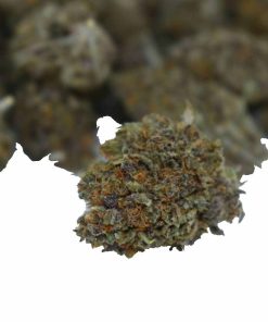 mr clean strain aaa cannabis