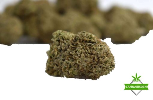 peanut butter breath strain