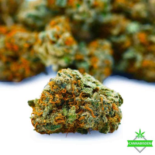 lemon haze weed flower
