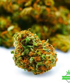 Cannabis Den — AA Master Kush