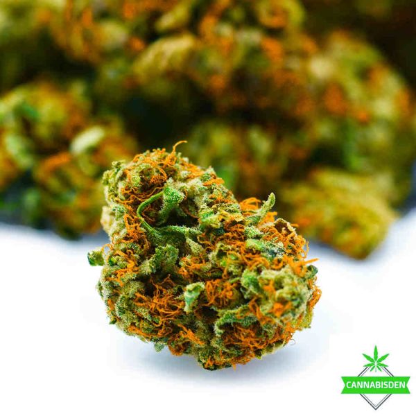 Cannabis Den — AA Master Kush