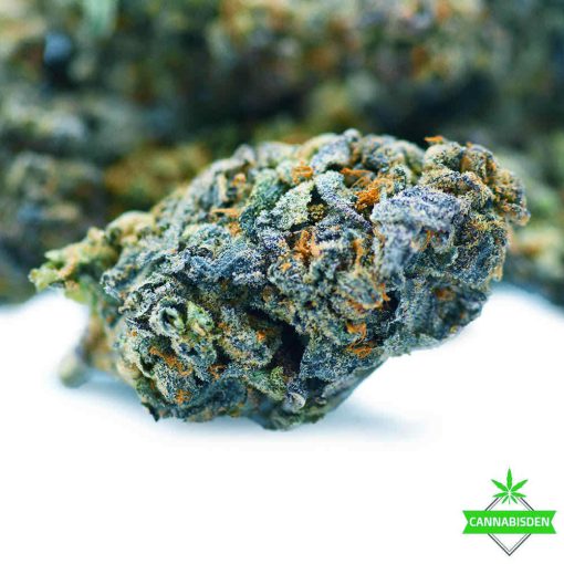 trainwreck