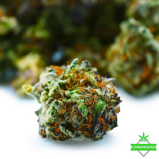 bubba supreme weed