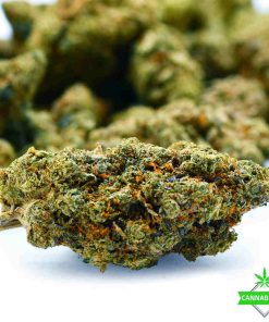 Gelato strain