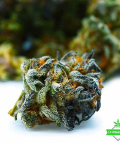 super glue AAA flower