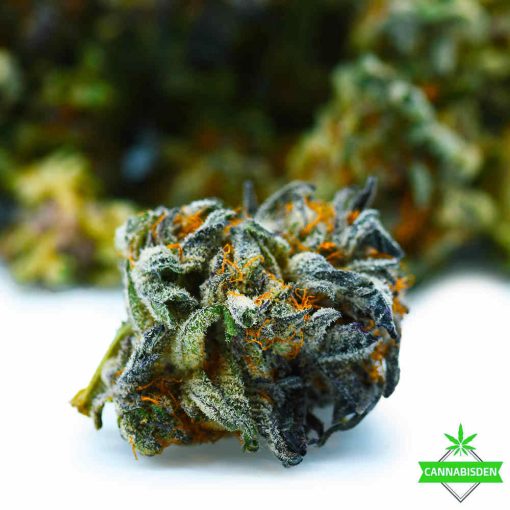 super glue AAA flower