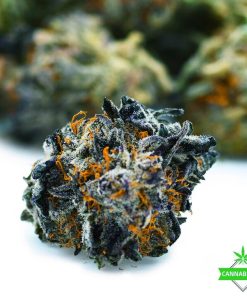 Best Marijuana Strains Arthritis