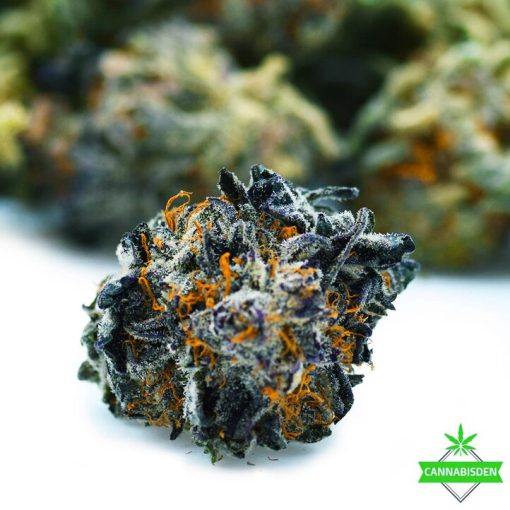 Best Marijuana Strains Arthritis