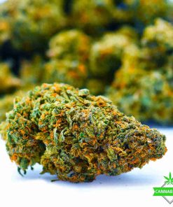 Zombie OG - AAAA