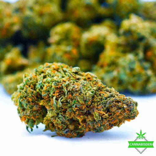 Zombie OG - AAAA